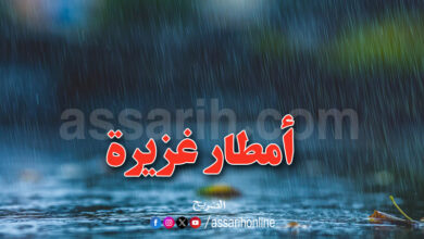 meteo-36