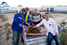 monastir 30.05.2025