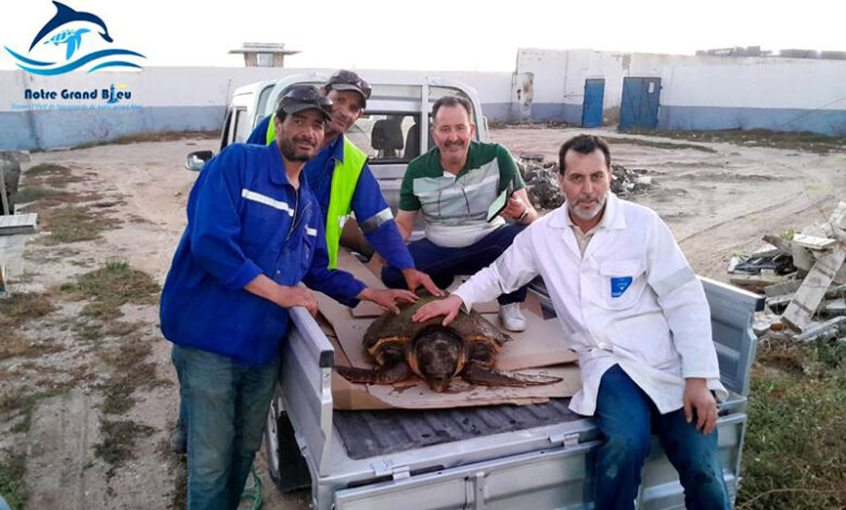 monastir 30.05.2025