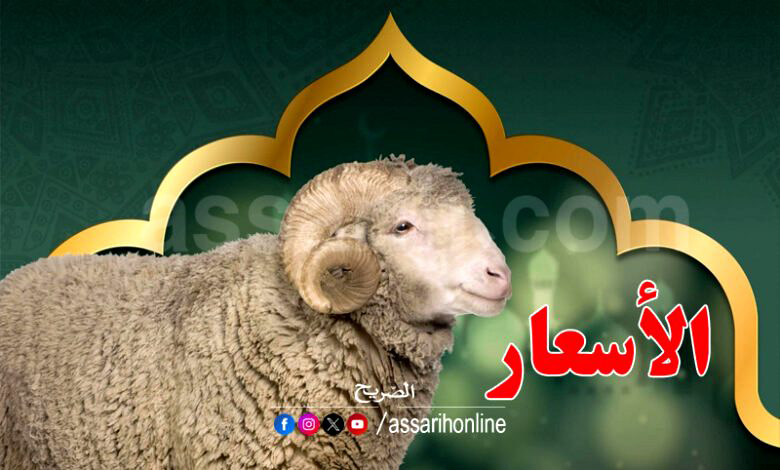 mouton . prix