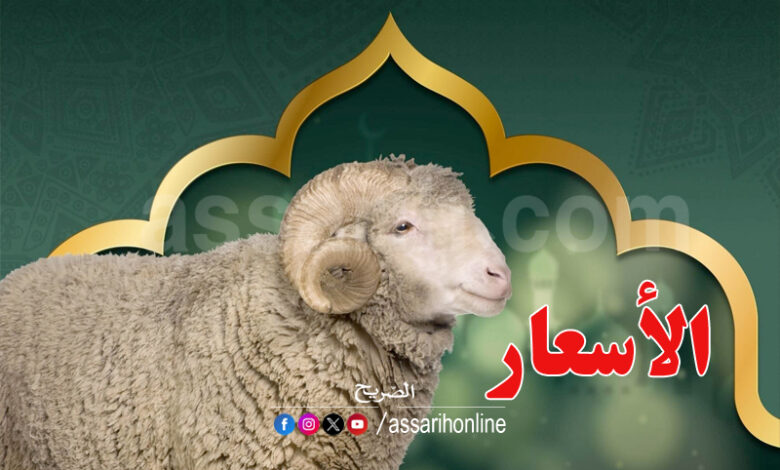 mouton