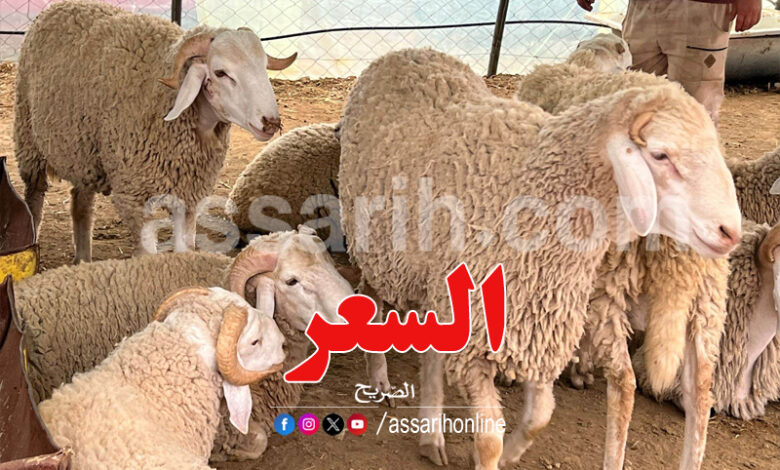 mouton