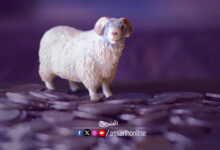 mouton
