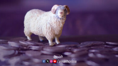 mouton
