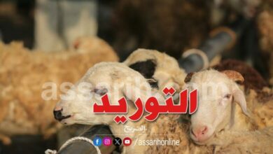 mouton-de-laid-1-780x470