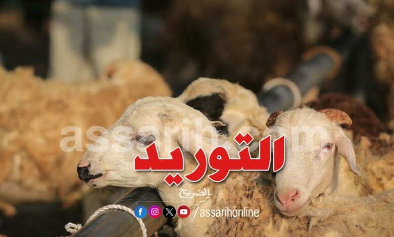 mouton-de-laid-1-780x470