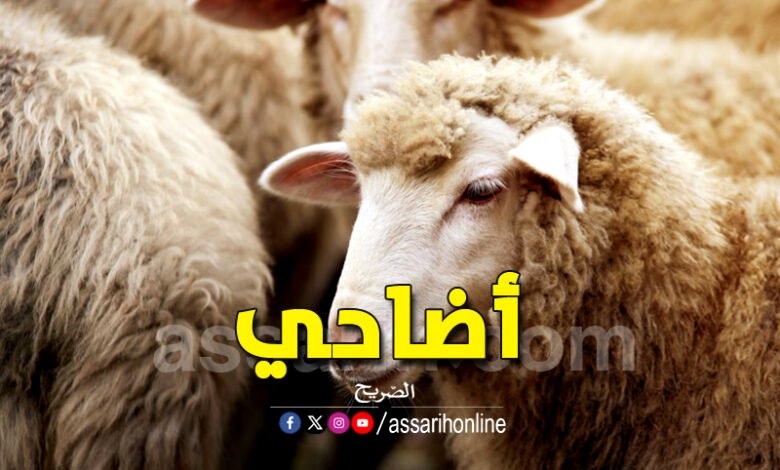 mouton de l'aid 2025