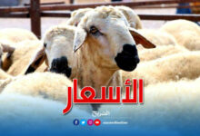 moutons-eid-780x470