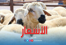 moutons-eid-idhha