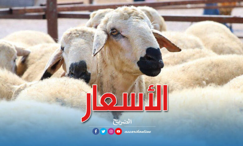 moutons-eid-idhha