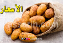pomme-de-terre