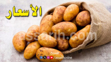 pomme-de-terre