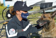 protection civile