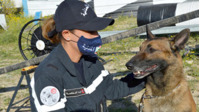 protection civile