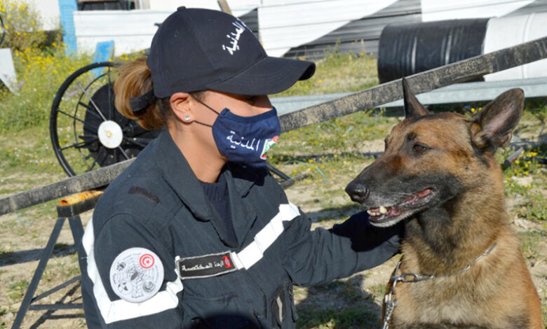 protection civile