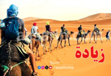 tozeur tourisme