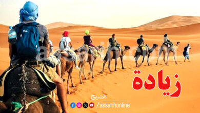tozeur tourisme