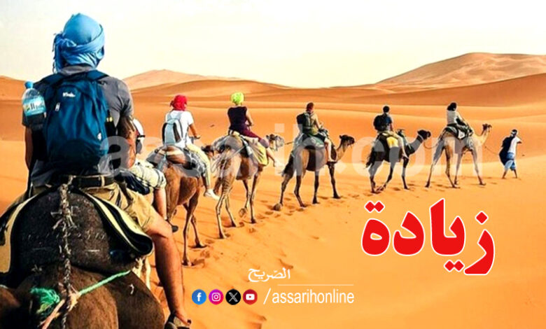 tozeur tourisme