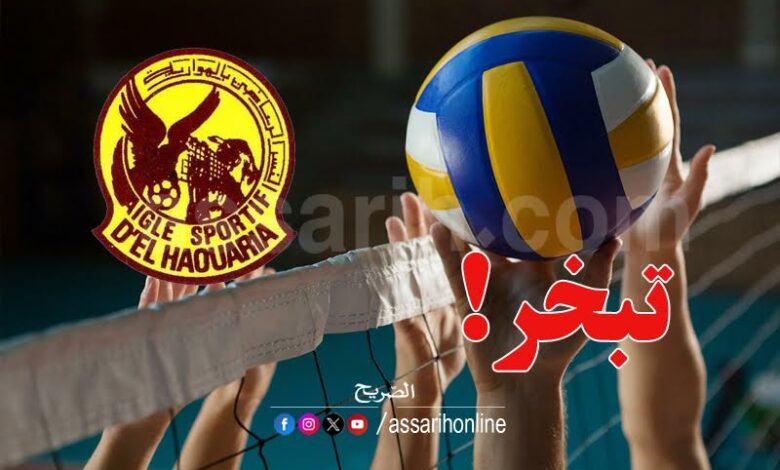 volley ball