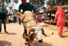 Aid idhaa