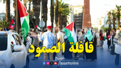 Caravane-EL-Soumoud-1-780x470