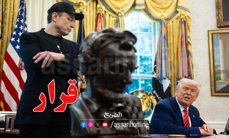 Donald Trump Elon Musk