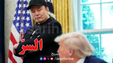 Donald Trump Elon Musk