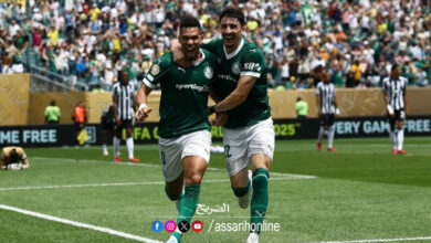 Palmeiras VS Botafogo