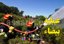Sakiet sidi youssef Operation Blanche