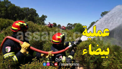 Sakiet sidi youssef Operation Blanche