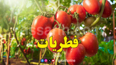 Tomates