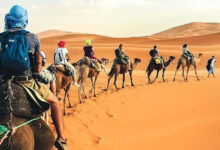 Tourisme en tunisie