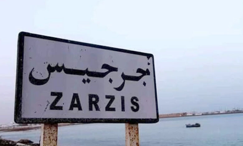 ZARZIS