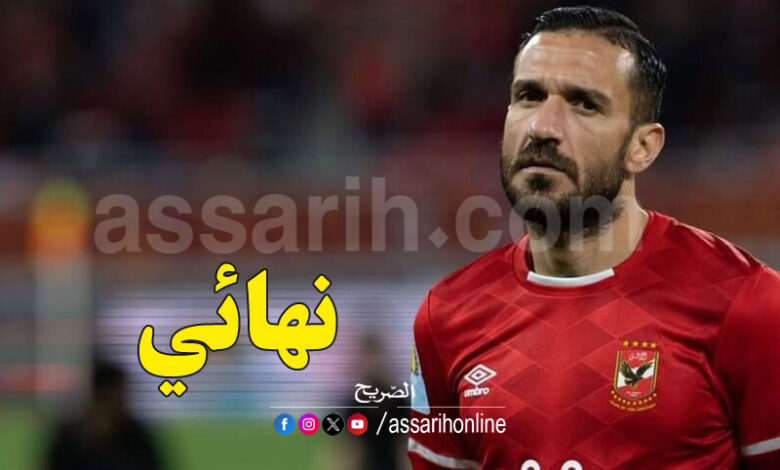 ali maaloul
