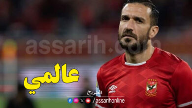 ali maaloule