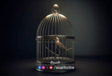 cage oiseaux