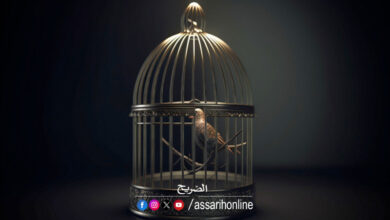 cage oiseaux