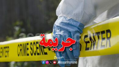 crime (13)