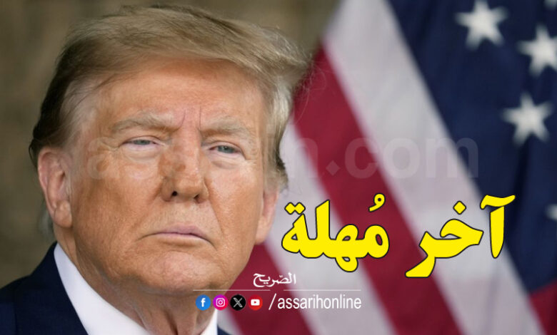 donald trump
