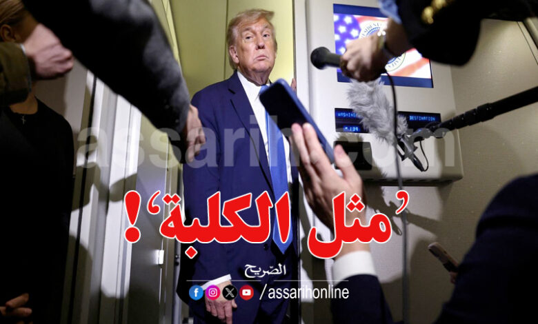 donald trump