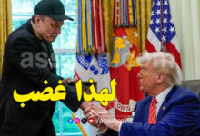 donald trump elon musk