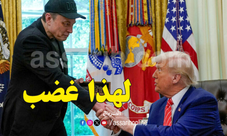 donald trump elon musk