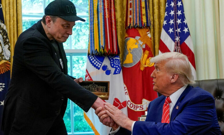 donald trump elon musk