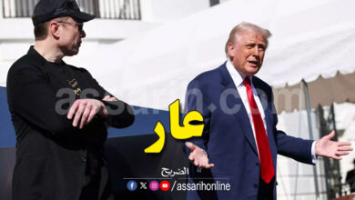 elon musk et donald trump