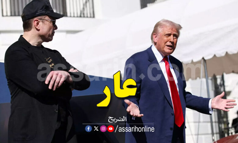 elon musk et donald trump
