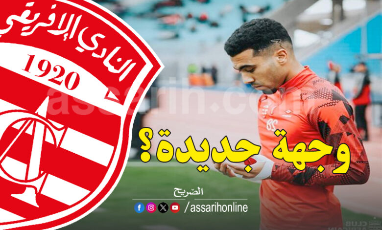 hamdi labidi