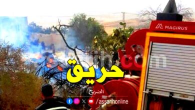 incendie 07082024 (3)