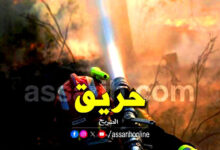 incendie foret