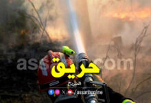 incendie-foret-7
