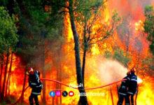incendies . forets